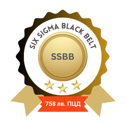 Six Sigma Black Belt