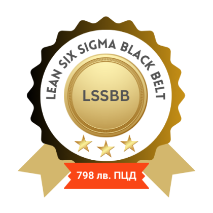 Lean Six Sigma Black Belt